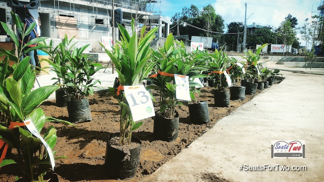 Tree-Planting