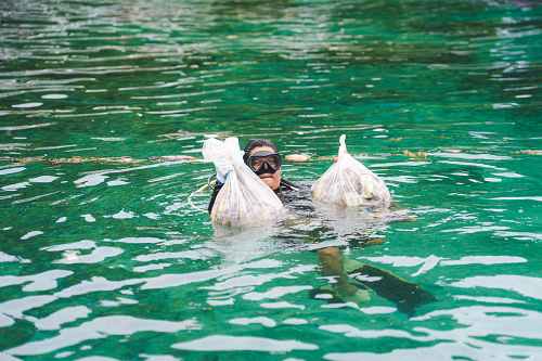 Volunteer divers help saveguard marine life